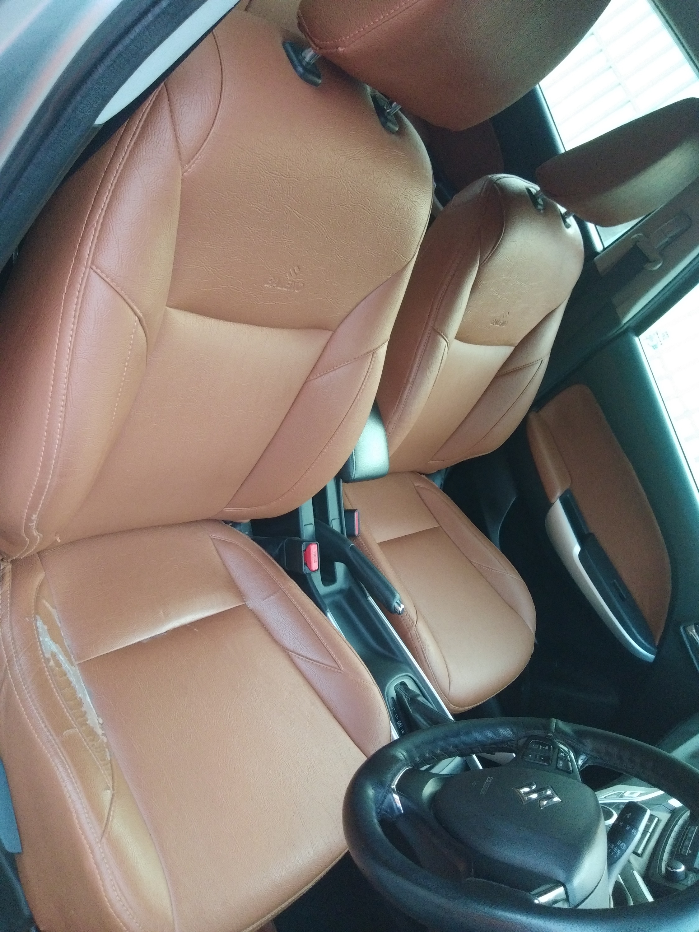 Ceiba Speciosa Wikipedia